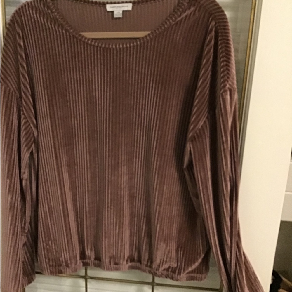 Blush Velvet Top